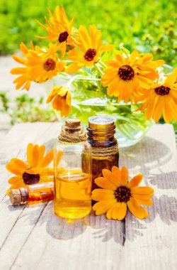 Calendula tentür küçük bir şişe içinde. Seçici odak. 