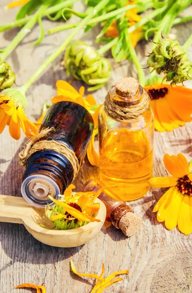 Calendula tinktura v malé lahvičce. Selektivní fokus. — Stock fotografie