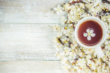 Bahar arka plan, çiçek ve çay. Seçici odak. 