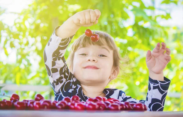 那孩子正在花园里采摘樱桃.有选择的重点. — 图库照片