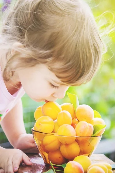 Ребенок и абрикосы в его руках. селективный фокус . — стоковое фото