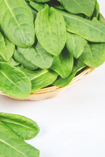 Blätter von Grünkohl, Sauerampfer und Spinat. Selektiver Fokus. — Stockfoto