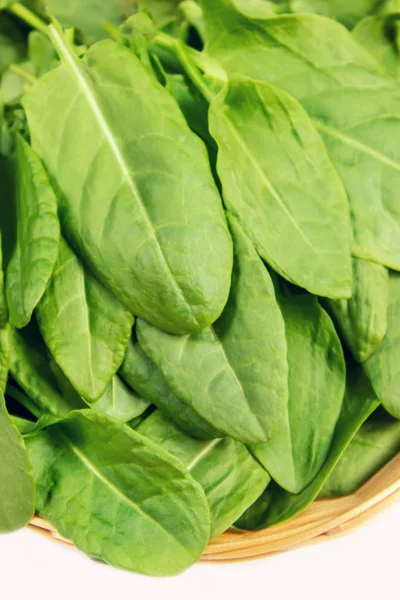 Le foglie di verdi, acetosa e spinaci. Focus selettivo . — Foto Stock