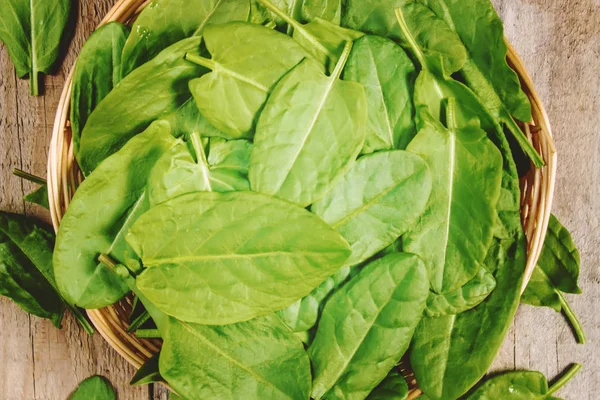 The leaves of greens, sorrel and spinach. Selective focus. — Stock Photo, Image