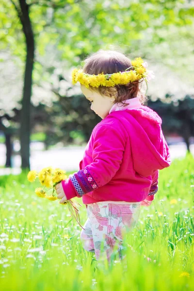 Κορίτσι, παιδί, λουλούδια η άνοιξη παίζει. Επιλεκτική εστίαση. — Φωτογραφία Αρχείου