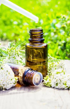 Tysiacheletie sıradan (civanperçemi) küçük bir kavanoza tentür. Seçici odak. 