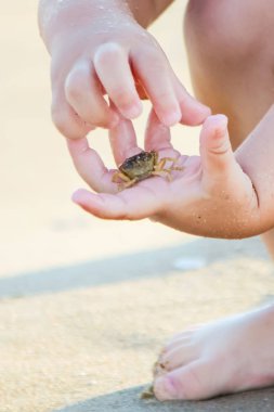Bebek kız sahilde deniz kenarında. Seçici odak.