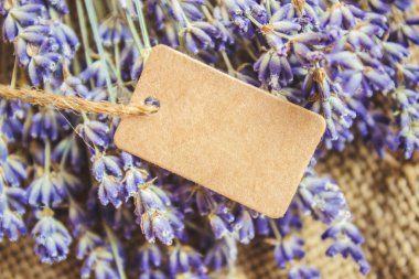 kurutulmuş lavanta ve etiket. Seçici odak.