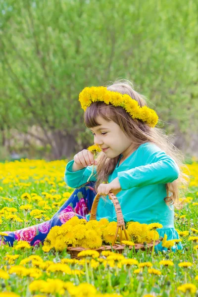 Girl, child, flowers in the spring plays. Selective focus. — Stock Photo, Image