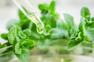 Küçük bir kavanoza nane özü. Seçici odak.