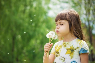 Dandelions hava üfleme kız. seçici odak.