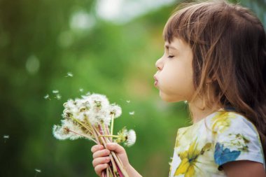 Dandelions hava üfleme kız. seçici odak.