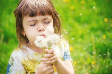 Dandelions hava üfleme kız. seçici odak.