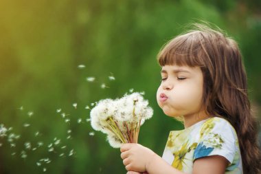 Dandelions hava üfleme kız. seçici odak.