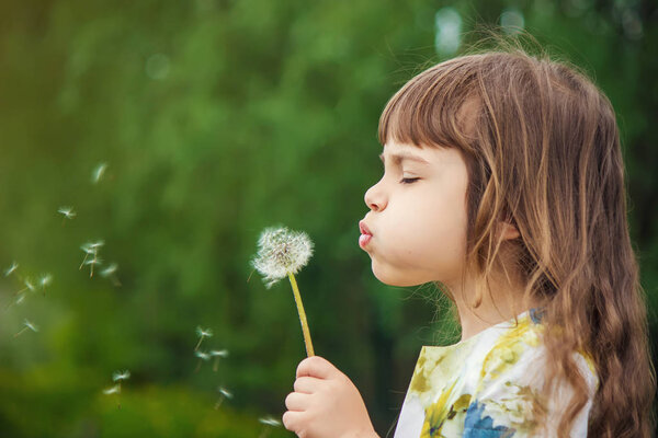 girl blowing dandelions in the air. selective focus.