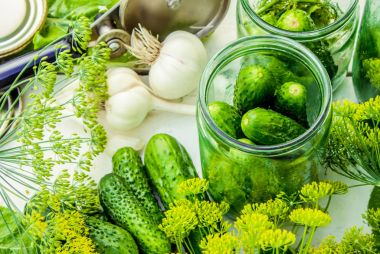 Salatalık dekapaj için hazırlık. Koruma. Seçici odak. 