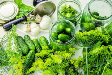 Salatalık dekapaj için hazırlık. Koruma. Seçici odak. 