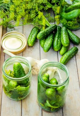 Salatalık dekapaj için hazırlık. Koruma. Seçici odak. 