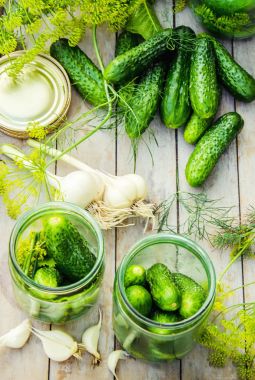 Salatalık dekapaj için hazırlık. Koruma. Seçici odak. 