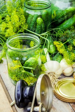 Salatalık dekapaj için hazırlık. Koruma. Seçici odak. 