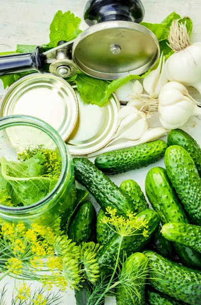 Preparación para pepinos en vinagre. Preservación. Enfoque selectivo . — Foto de Stock