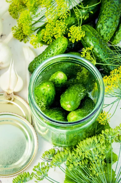 Preparation for pickling cucumbers. Preservation. Selective focus. — Stock Photo, Image