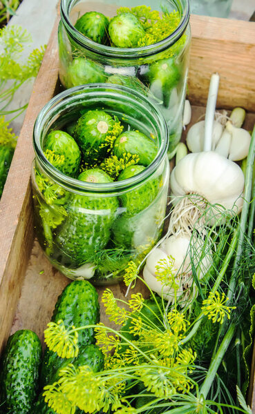 Preparation for pickling cucumbers. Preservation. Selective focus. 