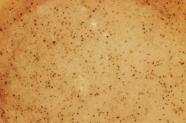 Yüz ve vücut kahve ve ballı için fırçalayın. Seçici odak.