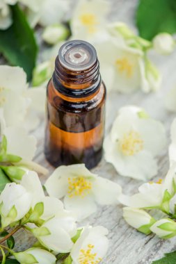 Yasemin esans. seçici odak. 