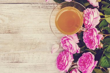 Çay, tea gül, gül, seçici odak. Doğa.