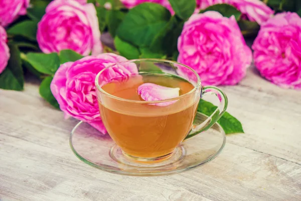 Tea, tea rose, rose, Selective focus.