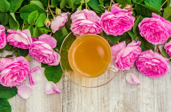 Τσάι, τσάι Τριαντάφυλλο, τριαντάφυλλο, επιλεκτική εστίαση. — Φωτογραφία Αρχείου