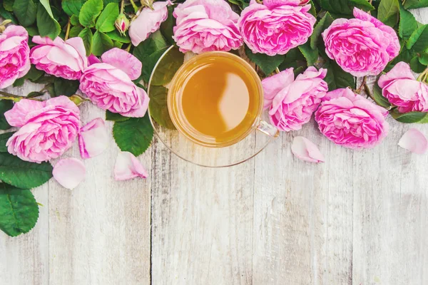 Чай, чайная роза, роза, Выборочный фокус . — стоковое фото