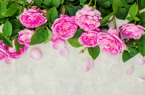 Krásné pozadí s růžových růží. Selektivní fokus. — Stock fotografie