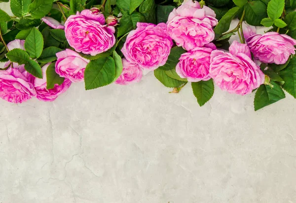 Hermoso fondo con rosas rosadas. Enfoque selectivo . — Foto de Stock