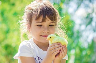 Çocuk bir tavuk elinde tutar. Kız ve kuş. Seçici odak. 