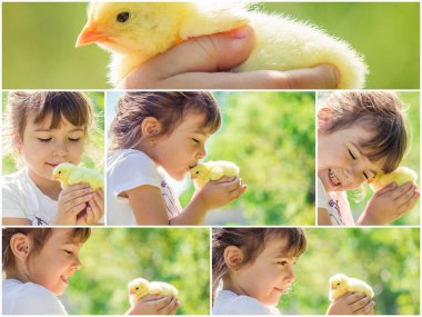 Çocuk bir tavuk elinde tutar. Kız ve kuş. Kolaj. Seçici odak. 