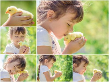 Çocuk bir tavuk elinde tutar. Kız ve kuş. Kolaj. Seçici odak. 