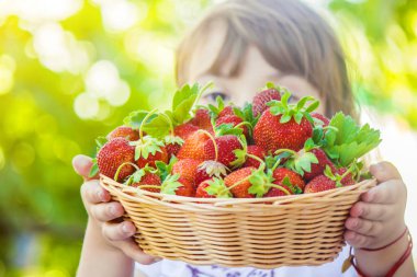 Çocuk ve çilek. Seçici odak.