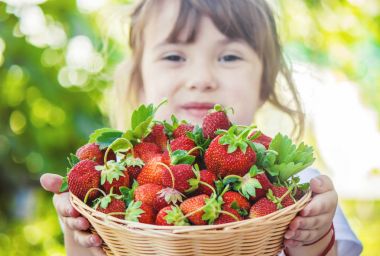 Çocuk ve çilek. Seçici odak.