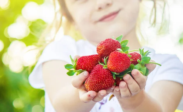 Kind en aardbei. Selectieve aandacht. — Stockfoto