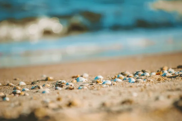 Verschwommener Hintergrund am Strand. Selektiver Fokus. — Stockfoto