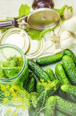 Salatalık dekapaj için hazırlık. Koruma. Seçici odak. 