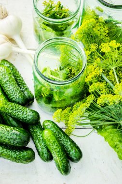 Salatalık dekapaj için hazırlık. Koruma. Seçici odak. 