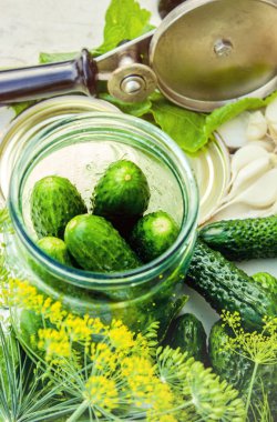 Salatalık dekapaj için hazırlık. Koruma. Seçici odak. 