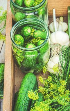 Salatalık dekapaj için hazırlık. Koruma. Seçici odak. 