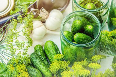 Salatalık dekapaj için hazırlık. Koruma. Seçici odak. 