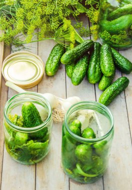 Salatalık dekapaj için hazırlık. Koruma. Seçici odak. 