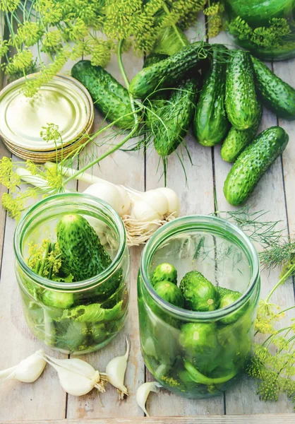 Preparation for pickling cucumbers. Preservation. Selective focus. — Stock Photo, Image