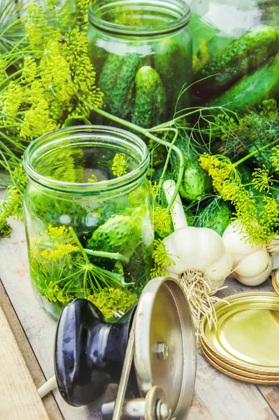 Salatalık dekapaj için hazırlık. Koruma. Seçici odak. 